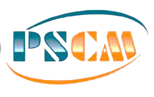 PS_Cargo-removebg-preview